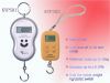 Portable Electronic Scale