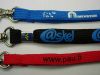 Lanyard