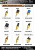 Water Temperature Sensor