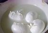 MOZZARELLA di BUFALA D...