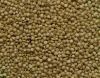 Sorghum White