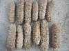 Dried Sea Cucumbers (Sea Food)