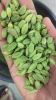 8mm+ high quality Green Cardamom 