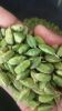 8mm+ high quality Green Cardamom 