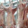Fresh Mutton Meat