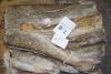Russian frozen cod J-CUT