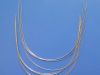 Orthodontic Wire