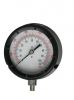 Process Gauge