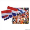 Netherland hand shaking  flag