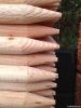 Round Tree Stakes  Douglas Fir