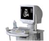 Digital ultrasonic dia...