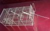 mouse trap cage