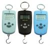HANGING SCALE -- OCS-5A