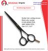 Dragon handle Hair Scissors