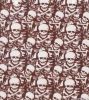 Skull Pattern Water Tr...