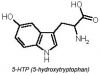 Griffonia Simplicifolia Extract