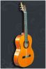 Classical guitar GC-203