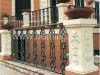 Yard Iron Fence