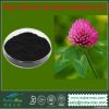 Red Clover Extract 20%...