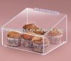Acrylic Bread/cupcake ...