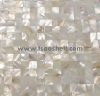 fresh water shell tile (seamless-jiont)