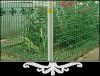 Wire Mesh Fencing