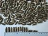 SUNFLOWER SEEDS IN SHELL