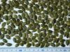 Pumpkin seeds kernels,...