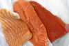 Salmon Fish Fillets
