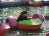 Aqua Paddle Boat