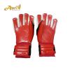 Goalkeeper Gloves