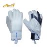 Goalkeeper Gloves
