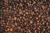 For Import Good Quality Raw Coffee Beans