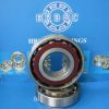 Angular Contact Ball Bearing