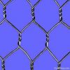 Wire Netting