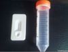 Anti-canine Rabies Virus Rapid Test