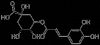 Chlorogenic Acid