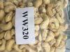 Cashew Nut Kernels and Raw Cashew Nuts