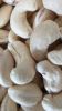 Cashew Nut Kernels and Raw Cashew Nuts