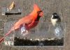 BAKER WINDOW BIRD FEED...