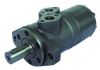 hydraulic motor