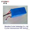 Lithium Polymer Battery