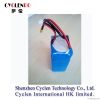 Lithium Polymer Battery