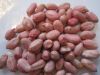 Peanut Kernel