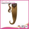 Pony Tail Hair Extension