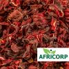 Hibiscus Sabdariffa