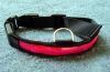 Flashing Pet Collar