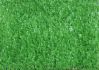 artificial lawn