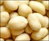 Blanched Peanut Kernels