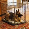 Plush Sheepskin Pad, A...